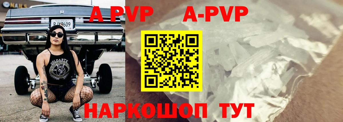 Alfa_PVP СК КРИС Лабинск