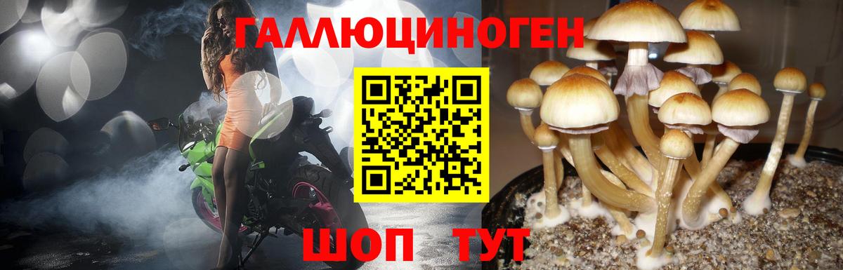 Псилоцибиновые грибы GOLDEN TEACHER  Галлюциногенные грибы Magic Shrooms  Вход с VPN  Лабинск 